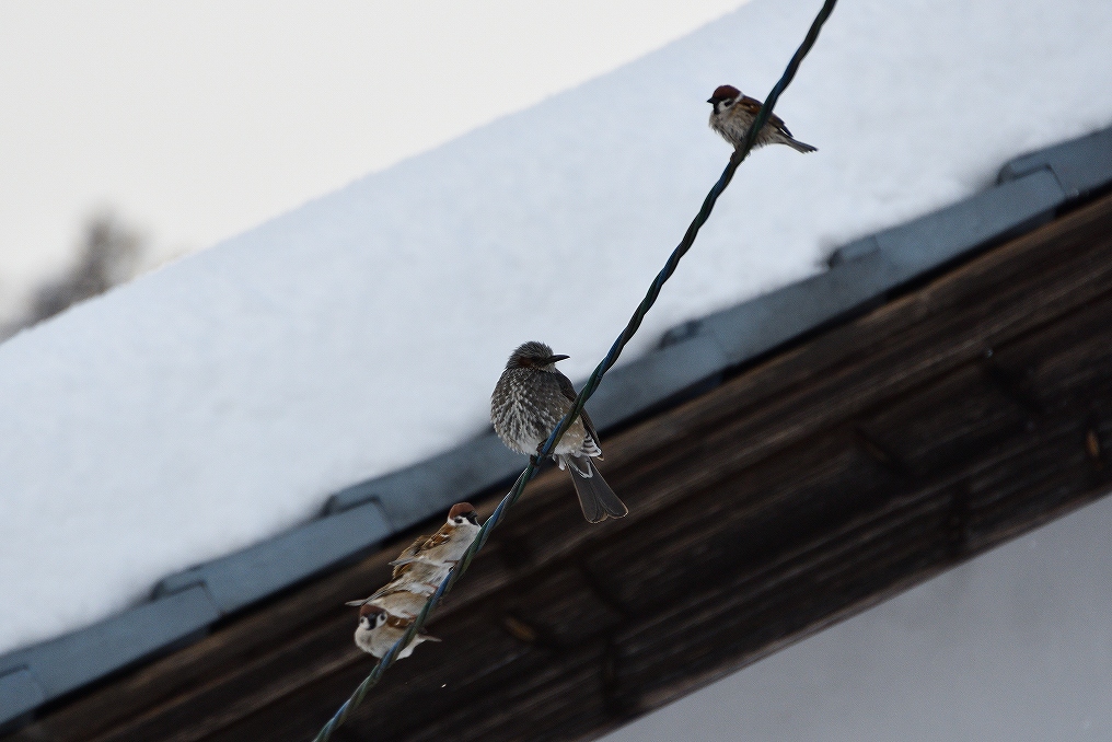 �C���[�W03