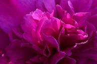 �C���[�W04