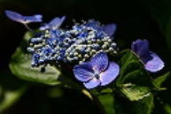 �C���[�W04