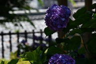 �C���[�W03